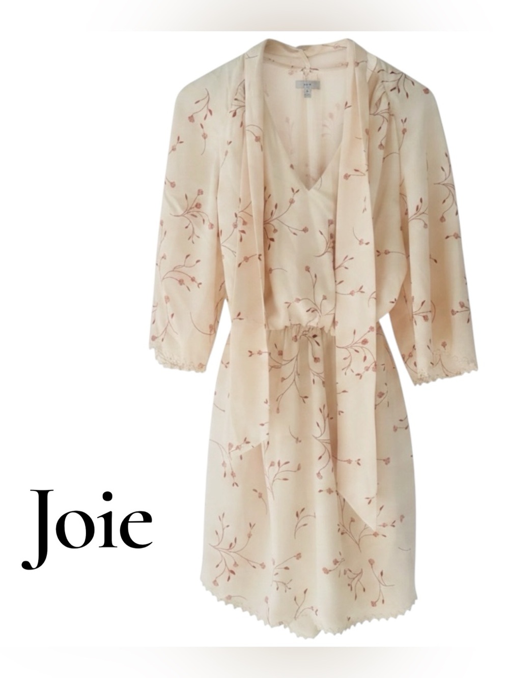Joie Dakota Summer Cottagecore Cream Dress with Red Floral Print